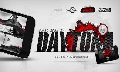 game pic for Daytona Racing Karting Cup